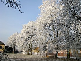 Rogienice (Sainte-Croix)