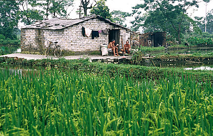 Província de Guangxi, prop de Quilin (Xina) 8 de juliol de 2002