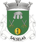 Wappen von Salselas