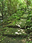 Mount Scenery Trail steps