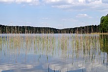 Nationalpark Müritz (Mecklenburg-Vorpommern)