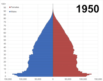 Animated population pyramid of the Netherlands: 1950-2020 Netherlands from 1950 to 2020 population pyramid over time.gif