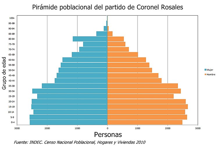 Pirámide poblacional del Partido de Coronel Rosales.