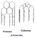 Prism like structure.png