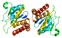 Protein DUSP10 PDB 1zzw.png