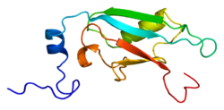Proteino SF3A1 PDB 1we7.png