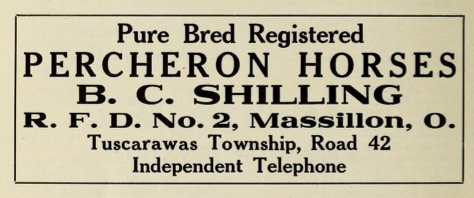 File:Pure bred registered Percheron horses - Tuscarawas Township - Massilon Ohio - 1915 advertisement.tiff