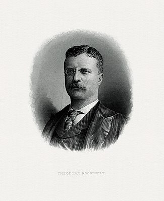Bureau of Engraving and Printing engraved portrait of Roosevelt as President