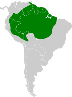 Distribución geográfica del picoplano colirrufo.