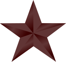 File:Ribbonstar-bronze.svg