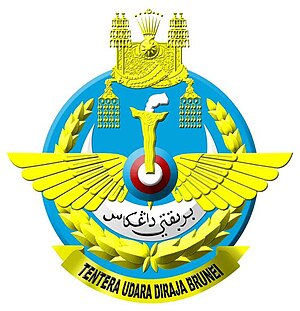 Image of primarily circular badge of the Royal Brunei Air Force, which is also used as the identifying badge of Royal Brunei Air Force Base, Rimba.