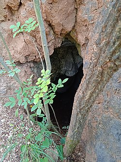 A Solymári kőfejtő 2. sz. barlangja bejárata