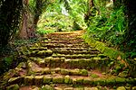 Miniatura para Jardín Botánico de Entebbe