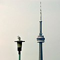 A lamppost (foreground) and Toronto's CN Tower (in distance)