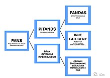 PANS PANDAS