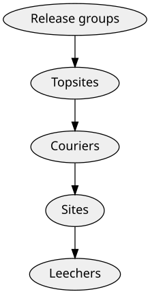 Иерархия сверху вниз гласит: «Релизные группы», «Топ-сайты», «Курьеры», «Сайты» и «Личеры».