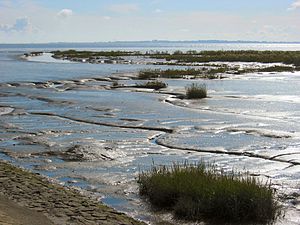 Waddengebied bij Wilhelmshaven