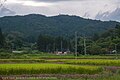 2021年8月30日 (月) 16:44時点における版のサムネイル