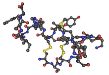 1EDN human endothelin1 02.png