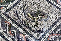 Aquileia Basilica - Mosaik 7 Rebhuhn