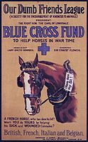 1916 poster promoting the Blue Cross Fund Blue cross poster.jpg