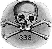 Logo von Skull & Bones