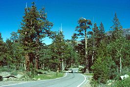 Route 4 door het Humboldt-Toiyabe National Forest