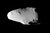 An oblong body is seen in this low resolution image.
