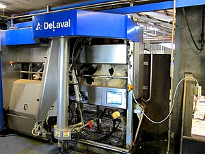 An automatic milking system milking a cow.