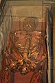 Skelet van Sabina van Beieren, Egmontcrypte, Zottegem
