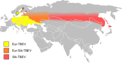 Пашырэньне хваробы ў Эўразіі (2013 год)