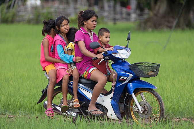 一个女孩带着四个儿童在稻田里骑摩托车。摄于寮国东德岛。