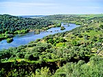 Floden Guadiana i närheten av Serpa