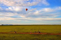 マサイマラ国立保護区の熱気球