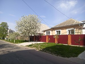 Чернігівська вулиця Милорадовичів, весна 2017 року