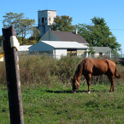 Looking toward the Judyville grain elevator