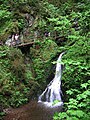 Unterster Wasserfall in der Lotenbachklamm