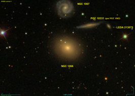 NGC 1066