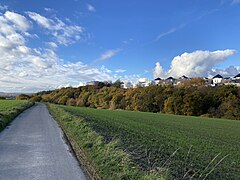 Blick von der Straße "Auf Drenhausen" über das Tal der Hesselbecke nach Westen