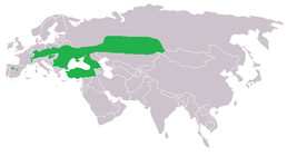 Мапа поширення виду