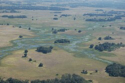 Delta Okavango