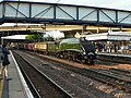 Steam loco Bittern going through the station.