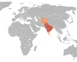 Distribución aproximada