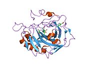 1zge: carbonic anhydrase II in complex with p-Sulfonamido-o,o'-dichloroaniline as sulfonamide inhibitor