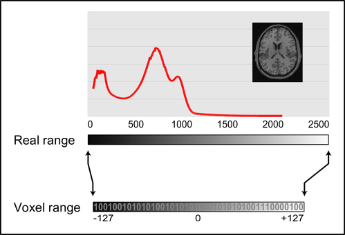 Real to Voxel Intensity Mapping