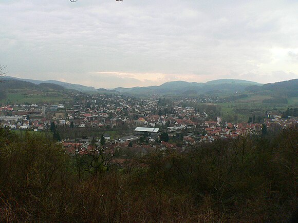 Single Reichelsheim