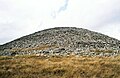 Մորենային խանդակ Շաորի լեռան վրա