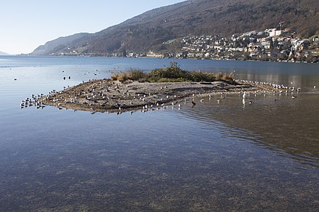 Vogelinsel, l'Île aux oiseaux à l'embouchure de la Suze.