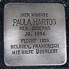Stolperstein für Paula Hartog