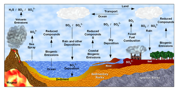 Sulfur cycle